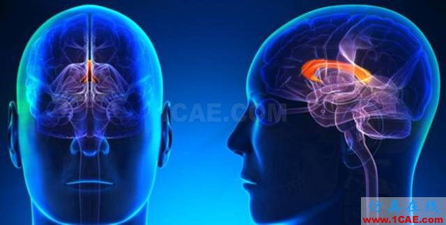 【資訊】強(qiáng)勢圍觀！Science公布的125個(gè)科學(xué)前沿問題!圖片94