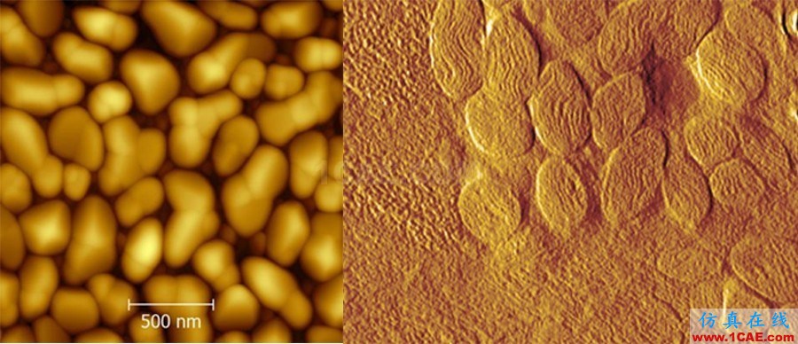 機(jī)械設(shè)計(jì)的高級(jí)境界:四大顯微設(shè)備SEM、TEM、AFM、STM工作原理,看圖說話機(jī)械設(shè)計(jì)圖例圖片21