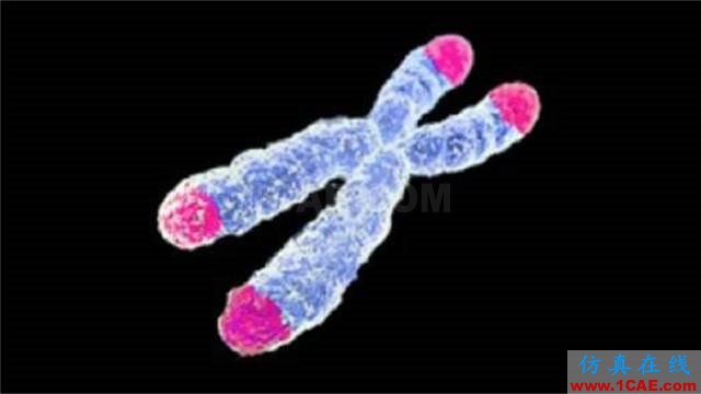 【資訊】強(qiáng)勢圍觀！Science公布的125個(gè)科學(xué)前沿問題!圖片66