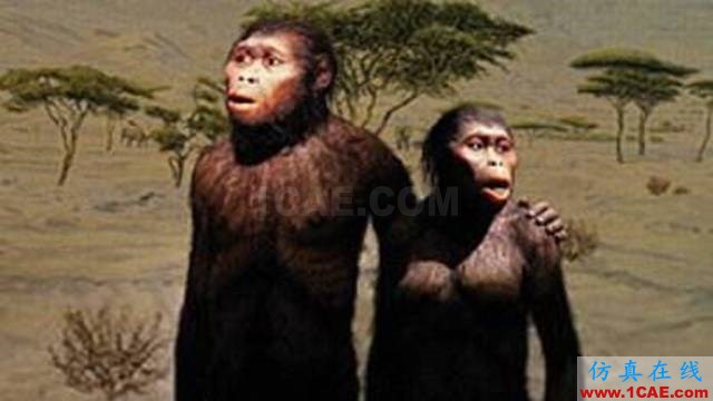 【資訊】強(qiáng)勢圍觀！Science公布的125個(gè)科學(xué)前沿問題!圖片102