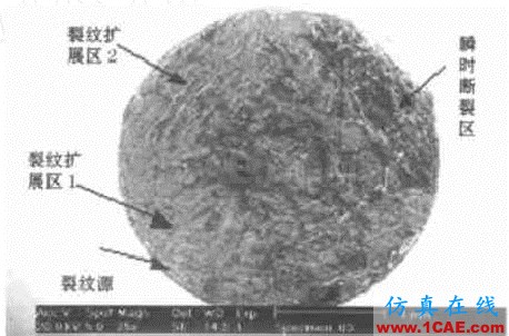 40Cr軸承疲勞斷裂分析ansys培訓的效果圖片2
