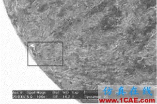40Cr軸承疲勞斷裂分析ansys培訓的效果圖片3
