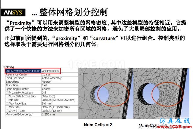 ansys技術專題之 網格劃分ansys圖片10