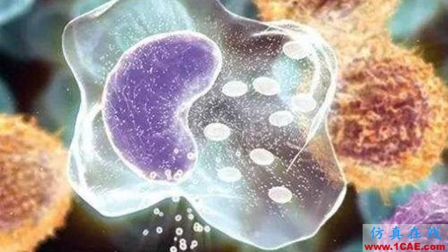 【資訊】強(qiáng)勢圍觀！Science公布的125個(gè)科學(xué)前沿問題!圖片62