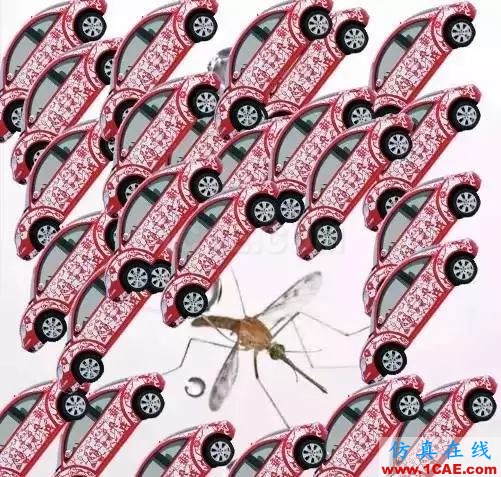 為什么蚊子永遠不會被雨砸死?千萬別被孩子問住了!fluent分析案例圖片6