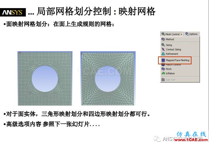 ansys技術專題之 網格劃分ansys培訓的效果圖片22