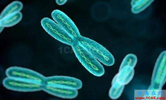 【資訊】強(qiáng)勢圍觀！Science公布的125個(gè)科學(xué)前沿問題!圖片101