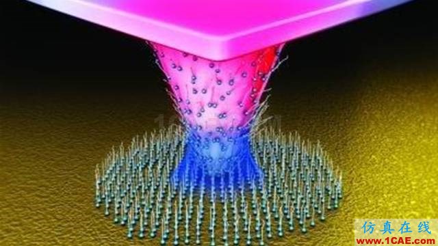 【資訊】強(qiáng)勢圍觀！Science公布的125個(gè)科學(xué)前沿問題!圖片18