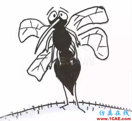 為什么蚊子永遠不會被雨砸死?千萬別被孩子問住了!fluent圖片17