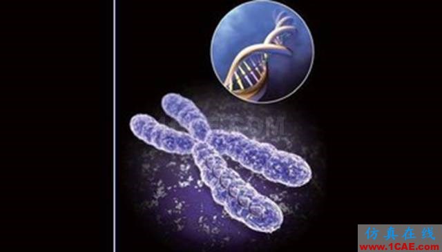 【資訊】強(qiáng)勢圍觀！Science公布的125個(gè)科學(xué)前沿問題!圖片4