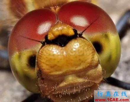 談?wù)勏嗫仃嚴(yán)走_(dá)為何如此先進(jìn)ansysem學(xué)習(xí)資料圖片9