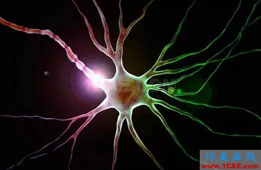 【資訊】強(qiáng)勢圍觀！Science公布的125個(gè)科學(xué)前沿問題!圖片8