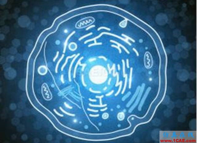 【資訊】強(qiáng)勢圍觀！Science公布的125個(gè)科學(xué)前沿問題!圖片81