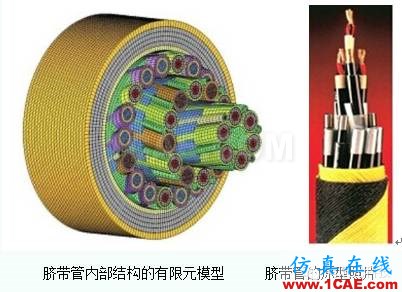 HyperWorks在海底油氣工業中的應用ansys培訓的效果圖片4