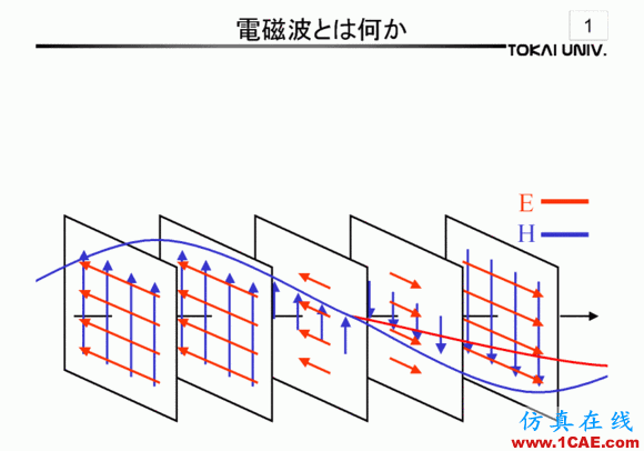 什么叫TEM,TE,TM電磁波?詳解HFSS結果圖片6