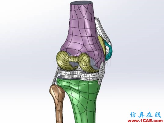 【醫學應用】骨科知識和有限元分析ansys圖片4