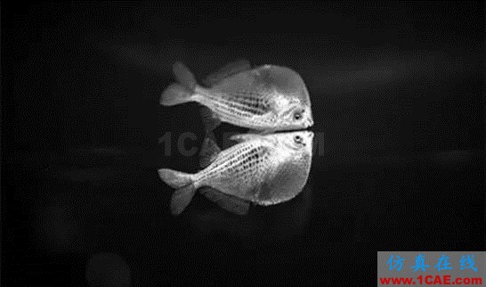 【資訊】強(qiáng)勢圍觀！Science公布的125個(gè)科學(xué)前沿問題!圖片58