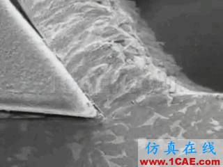 各種機械工藝在慢鏡頭下的寫真,竟然看哭了機械設計案例圖片7