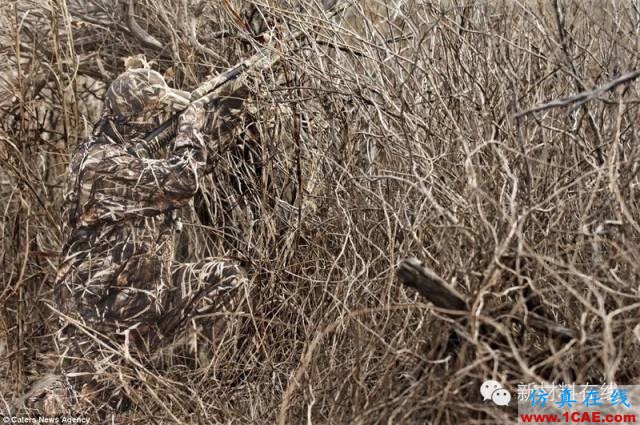 在你看不到的地方：隱身涂料的應用分類ADS電磁培訓教程圖片5