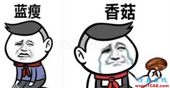 66929b3b1cc147e0a044cdc15e15fd96_th.jpeg 什么?軟件不會!藍瘦、香菇!快來MIDAS學(xué)習(xí)啦!~MIDAS 2016 新疆橋梁技術(shù)交流會Midas Civil分析案例圖片2