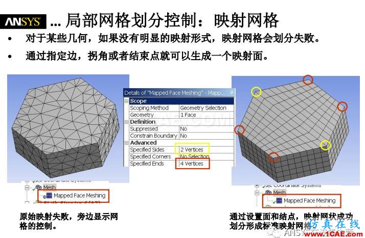 ansys技術專題之 網格劃分ansys培訓的效果圖片23