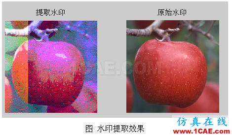 代做畢業(yè)設(shè)計(jì)-MATLAB的條碼、車牌、指紋、圖像識(shí)別-QQ572426200 代做畢業(yè)設(shè)計(jì)-MATLAB的條碼、車牌、指紋、圖像識(shí)別-QQ572426200