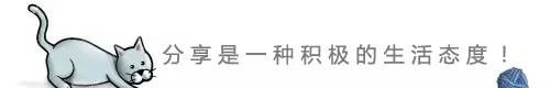 貓抓毛線球引導分享 美國單兵雷達概述HFSS分析圖片14