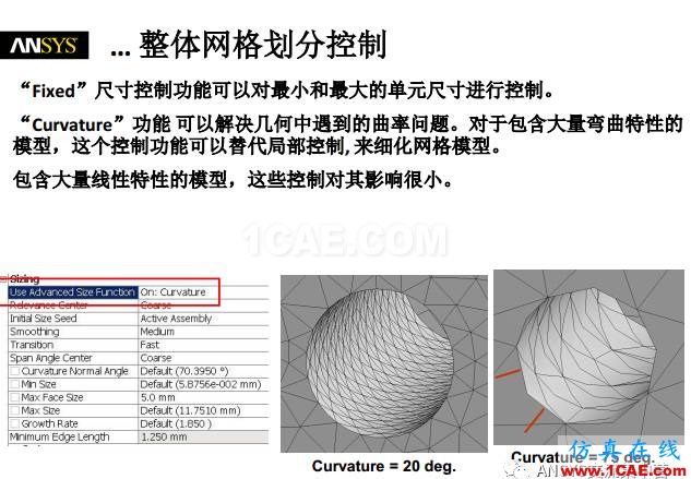 ansys技術專題之 網格劃分ansys圖片9