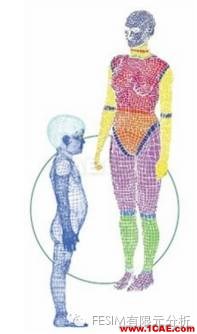 有限元分析在醫療領域的利用cae-fea-theory圖片3