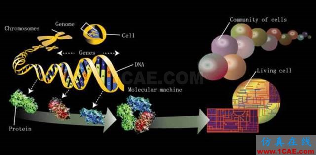 【資訊】強(qiáng)勢圍觀！Science公布的125個(gè)科學(xué)前沿問題!圖片61