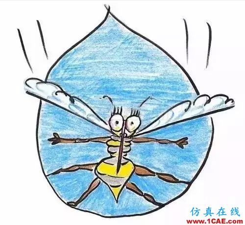 為什么蚊子永遠不會被雨砸死?千萬別被孩子問住了!fluent流體分析圖片12