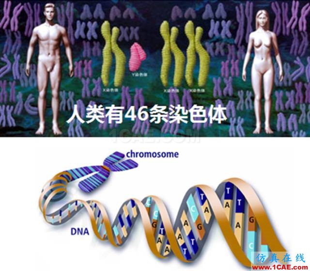 【資訊】強(qiáng)勢圍觀！Science公布的125個(gè)科學(xué)前沿問題!圖片3
