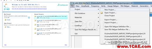 Fe-safe分析詳細流程【轉發】fe-Safe技術圖片2